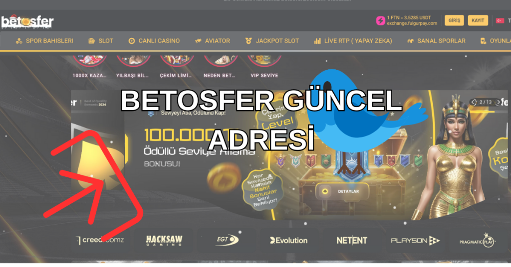 BETOSFER guncel giris